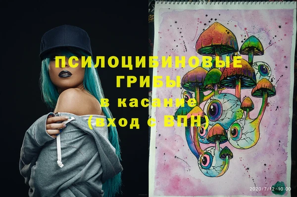 индика Аркадак