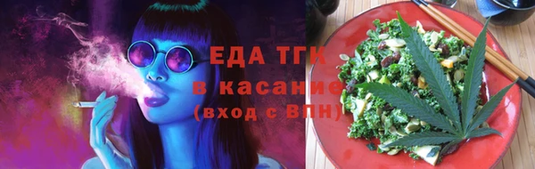 индика Аркадак