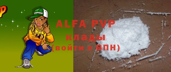 индика Аркадак