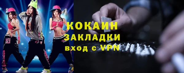 индика Аркадак