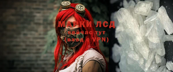 индика Аркадак