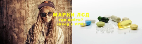 индика Аркадак