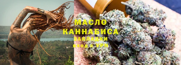 индика Аркадак