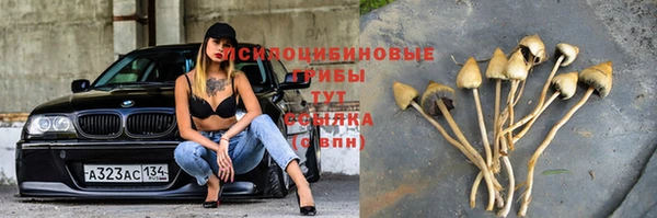 мет Армянск