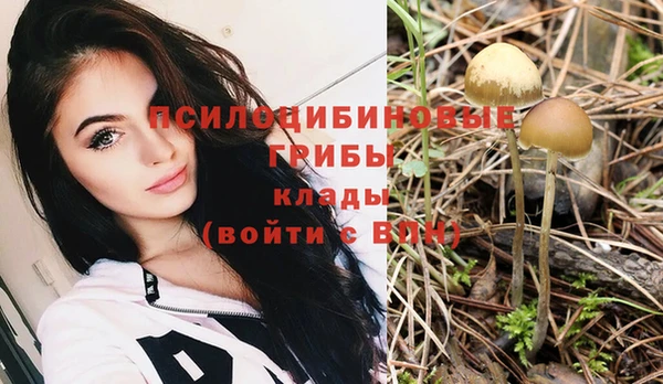 индика Аркадак