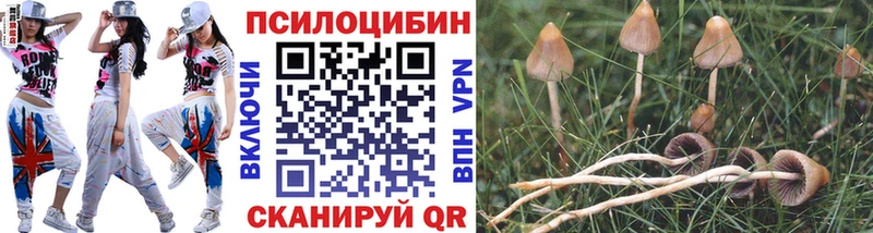 МЕГА маркетплейс  Бобров  Галлюциногенные грибы Psilocybe  где купить наркоту 
